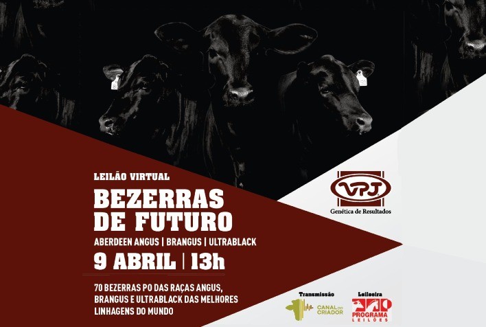 VPJ Pecuária promoverá três leilões em 2022 em comemoração aos 30 anos de seleção e melhoramento genético
