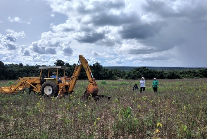 Pesquisa em fazendas de MT compara carbono em áreas protegidas e cultivadas