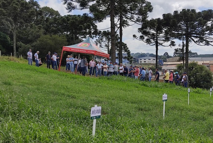 ATeG Pecuária de Corte fortalece mercado de carnes em SC