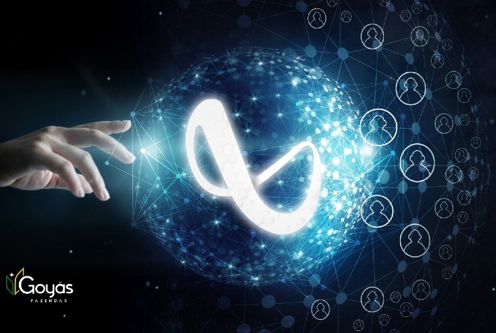 Compra digital de fazendas: startup brasileira lança a primeira NFT de propriedade rural do Brasil