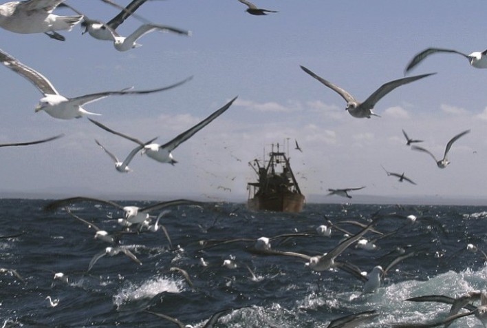 Brasil ignora a pesca como fonte de emprego e renda