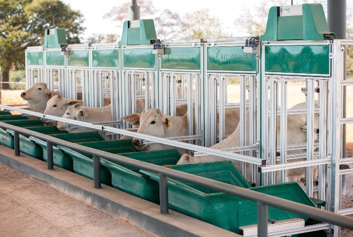 Uso de tecnologia no campo aumenta precisão dos dados e reduz mão de obra, tempo de prova e estresse dos animais