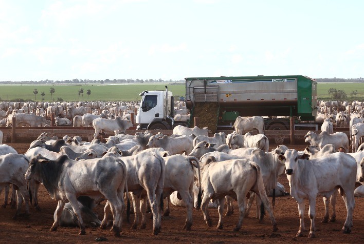 Rentabilidade de confinadores deve subir neste ano, diz Cepea