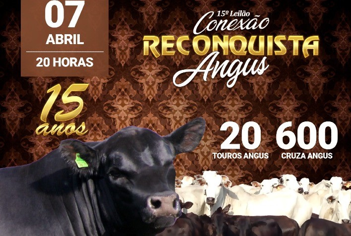 Reconquista ofertará genética de ponta nos 15 anos do Leilão Conexão Angus