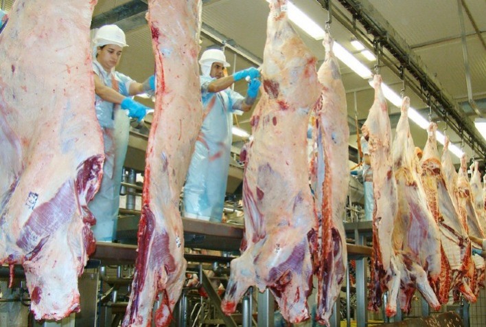 IMEA prevê maior oferta de gado para abate em MT; capacidade frigorífica opera em 69% da capacidade