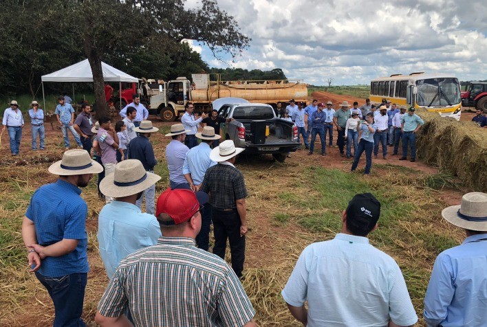 Dia de Campo em Rio Verde (GO) apresenta soluções para aumentar a produtividade do gado