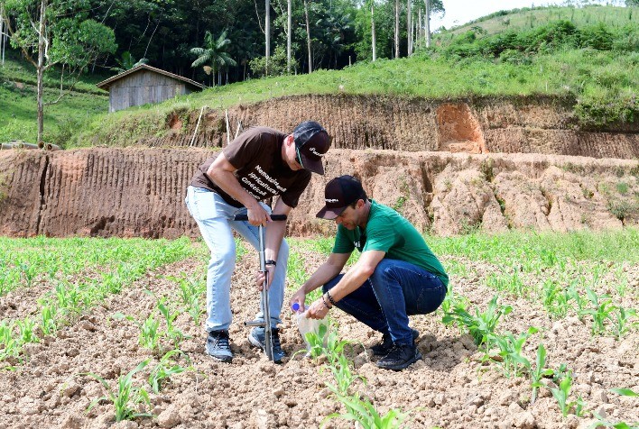 Análise genética dos micro-organismos do solo avalia capacidade de uma lavoura de fixar carbono e nitrogênio