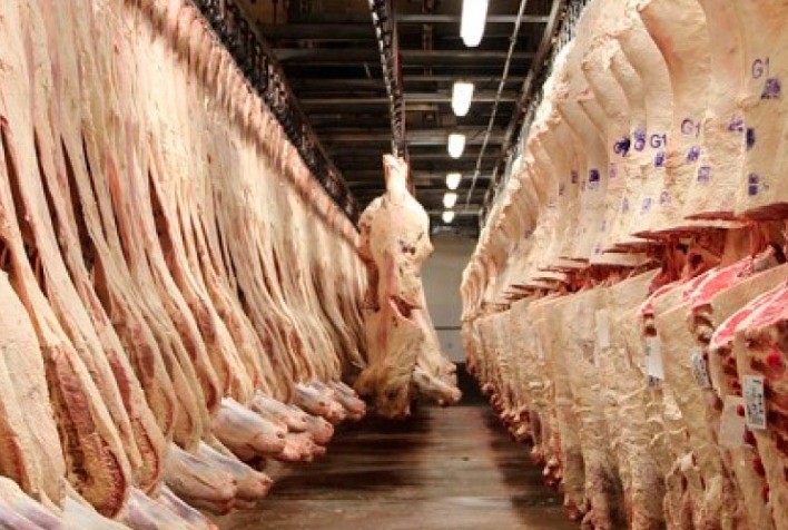 Exportação total de carne bovina em março ultrapassa 200 mil toneladas