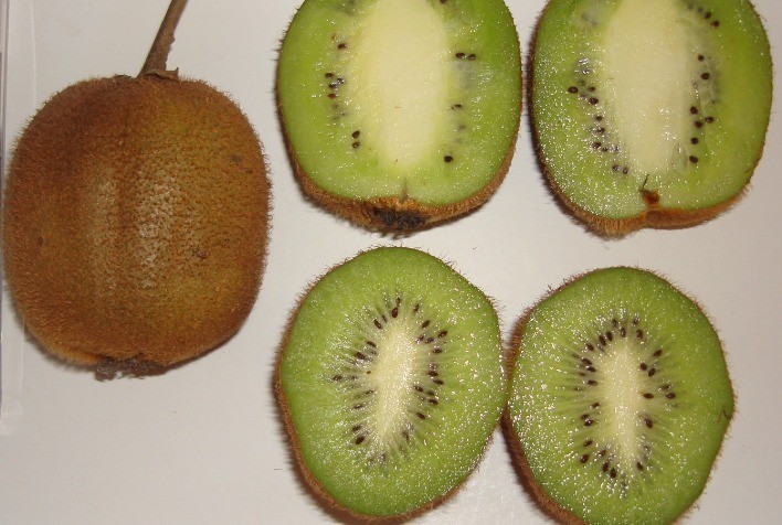 Registro da cultivar Tewi incentiva a kiwicultura no Rio Grande do Sul