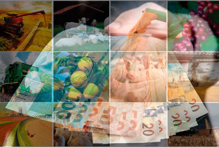 Obtenção de crédito rural é facilitada por seguro