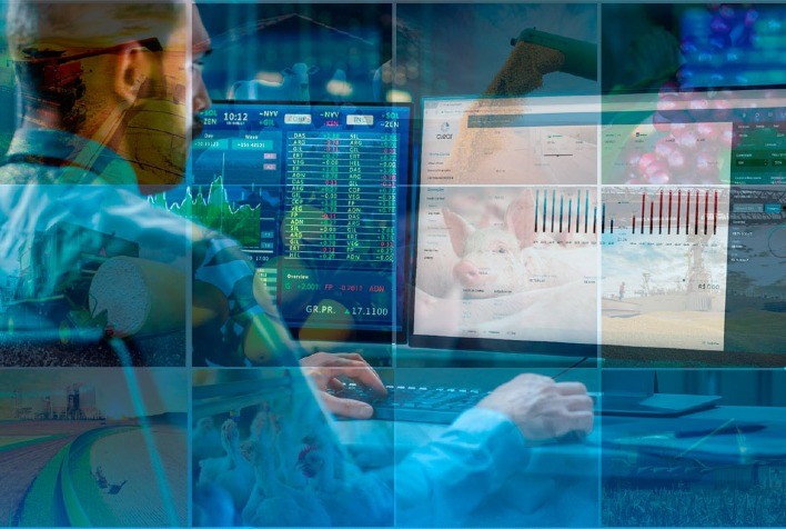 Agronegócio e o mercado financeiro caminham de mãos dadas