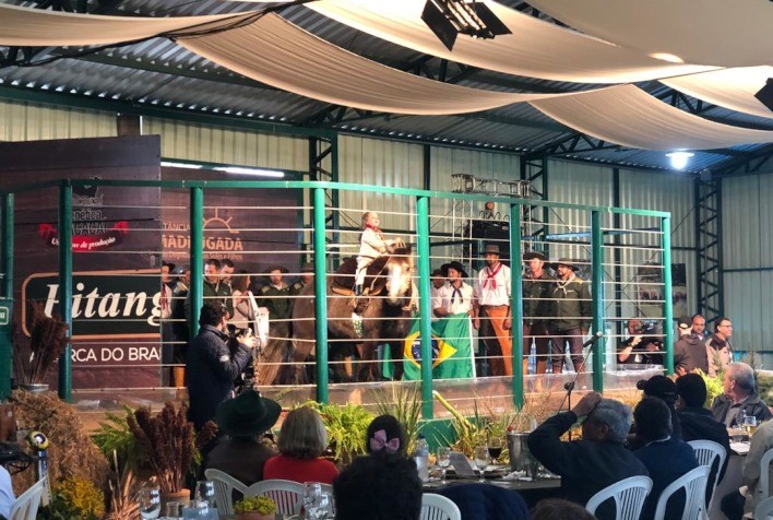 Expectativa para a Temporada de Outono é de venda aquecida para animais de qualidade