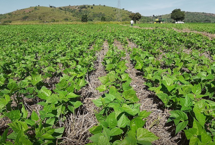 Conservação do solo é fundamental para manutenção da produção de alimentos