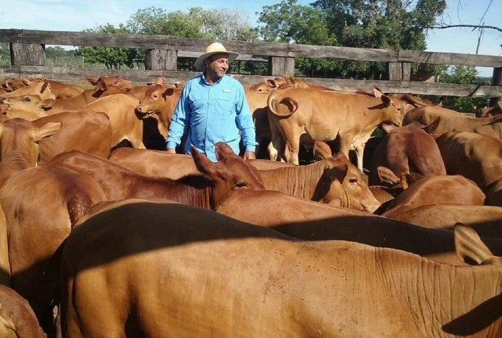 Montana Calidad produz carne de qualidade com base em seleção criteriosa e tecnologias avançadas