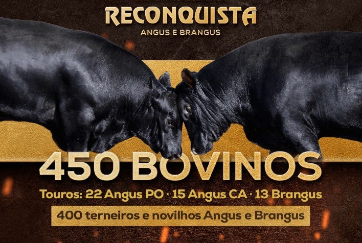 Reconquista volta às pistas de Outono com leilão virtual no dia 28