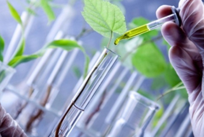 Inovações em agricultura da BASF contribuem com a segurança alimentar, o clima e o meio ambiente