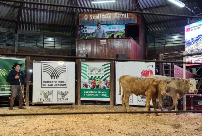 42ª Feira do Terneiro e Terneira de São Joaquim gera mais de R$ 1,9 mi em negócios
