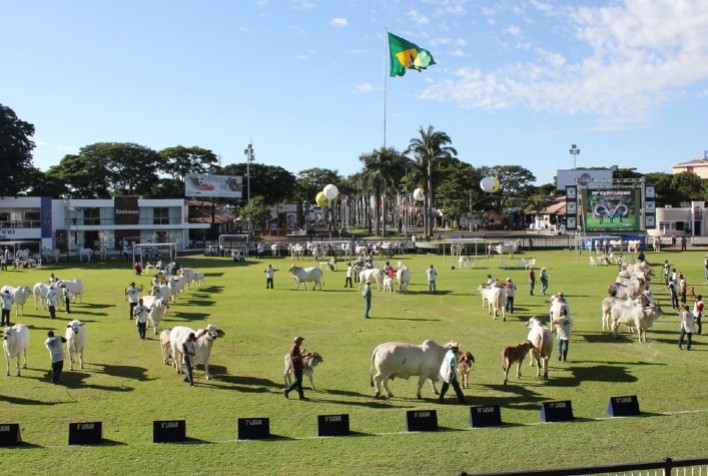 Governo de Minas tem programação diversificada na Expozebu 2022