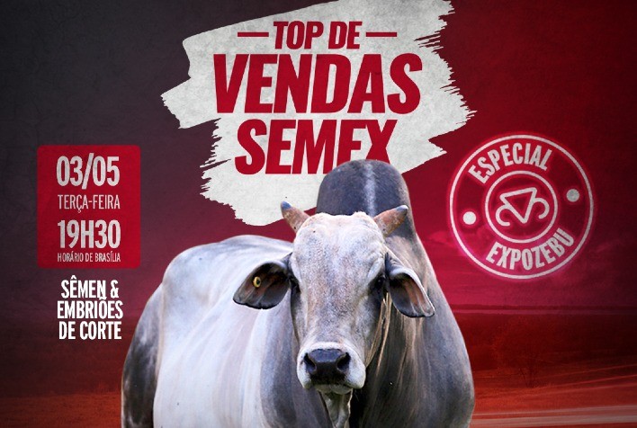 Semex Brasil levará novidades para a ExpoZebu 2022