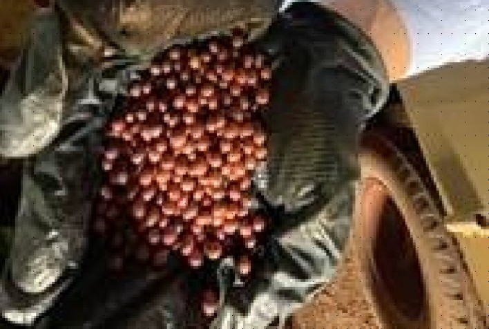 Stoller do Brasil lança o Send para tratamentos de sementes on farm