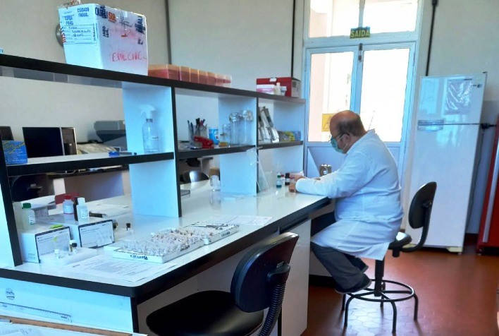 Laboratório do CEPVDF obtém aprovação para realizar análises de duas novas doenças de suínos