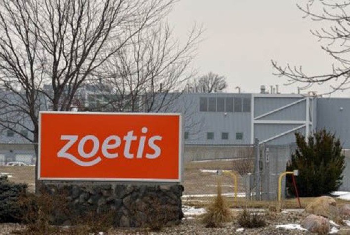 Zoetis reporta faturamento de US＄2 bilhões no primeiro trimestre de 2022