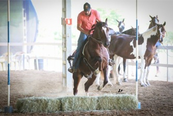 Eventos do Mangalarga do Brasil surpreendem com números recordes