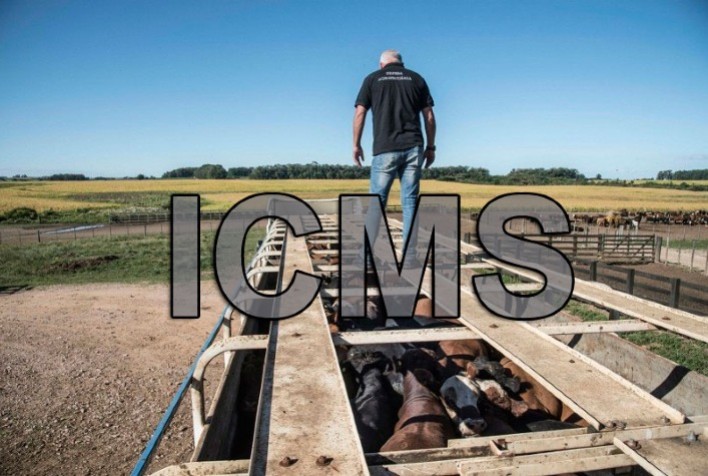 Isenção de ICMS para transporte de gado