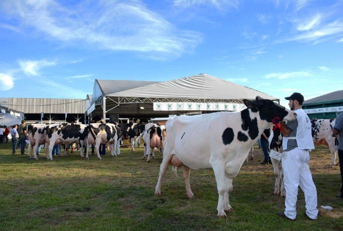 Lançamento da Fenasul Expoleite ocorre no dia 11, em Esteio
