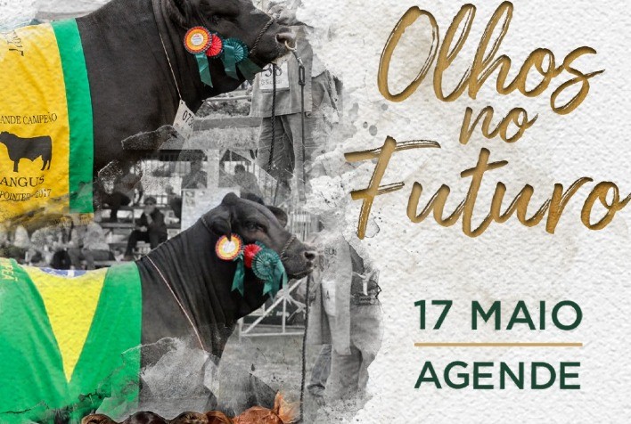 Genética diferenciada será colocada em pista no leilão da Guarita