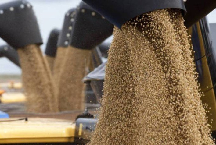 Soja: Chicago realiza lucros nesta 5ª acompanhando financeiro e aguardando pelo novo USDA