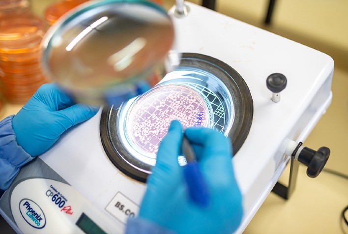 Reunião debate desafios e oportunidades para inoculantes microbianos no Brasil