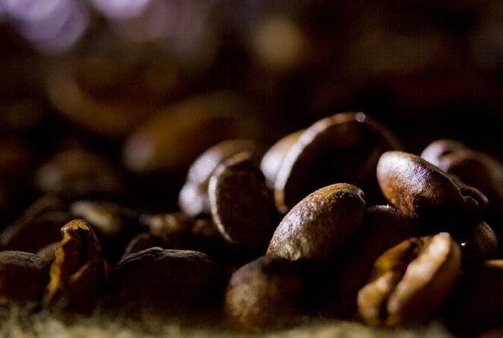 Patenteado método que identifica cafeeiros com teor reduzido de cafeína