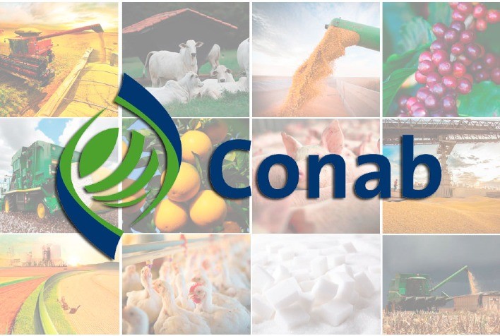 Safra de grãos 2021/22 pode chegar a 270,2 milhões de toneladas