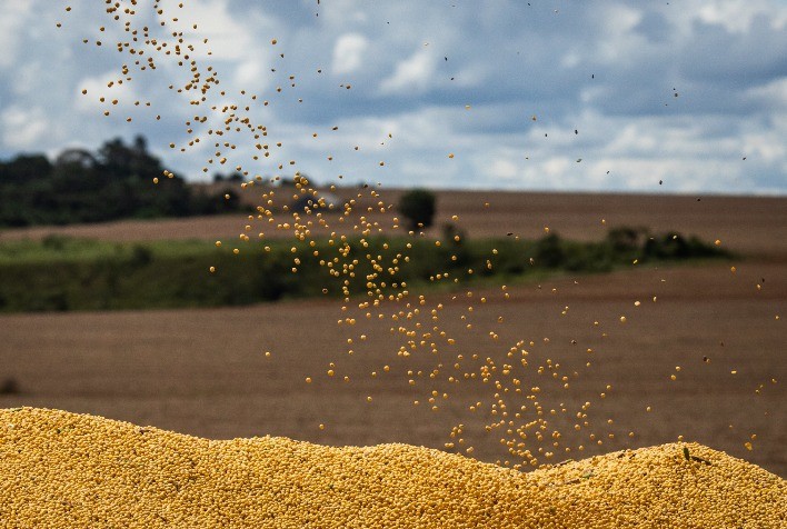 DATAGRO corta estimativa da safra brasileira de soja 2021/22 para 124,73 mi de t
