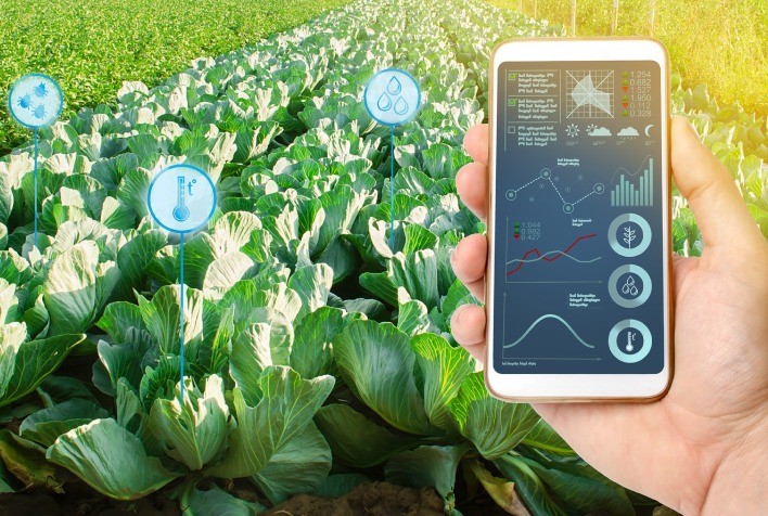 A startup oferece uma plataforma especializada para hortifruticultura, unindo sua tecnologia com a escalabilidade e estratégia da venture builder