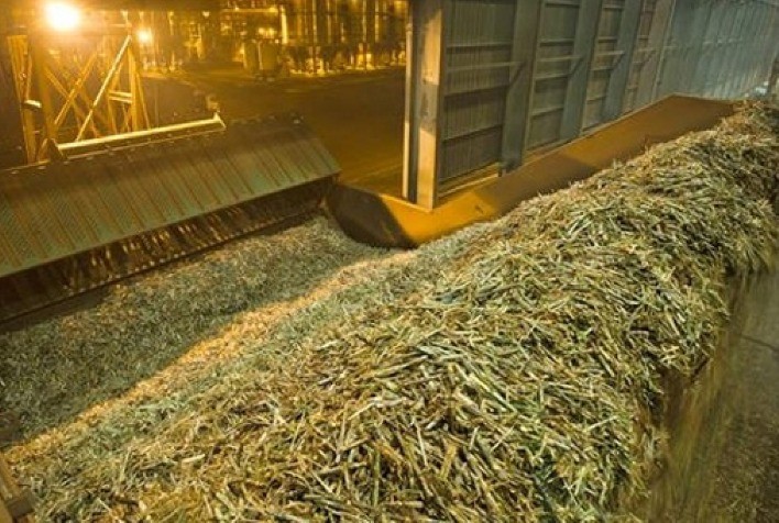 Moagem na Coagro é iniciada, com expectativa de produzir cerca de 65 milhões de litros de etanol