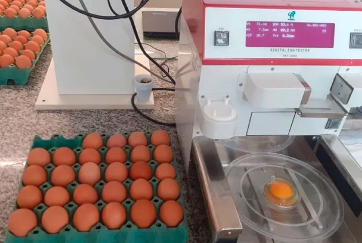 Em São Paulo, IZ atua no desenvolvimento de pesquisas em diferentes sistemas de produção avícola