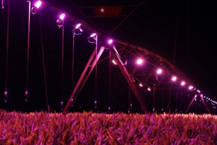 Uso de iluminação artificial na lavoura pode aumentar produtividade