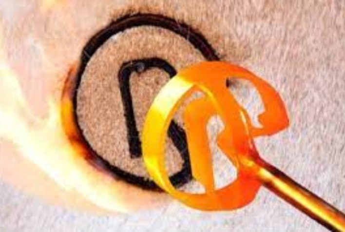 Fazenda Cambury integra projeto de bem-estar animal e capacita profissionais para o manejo de baixo estresse