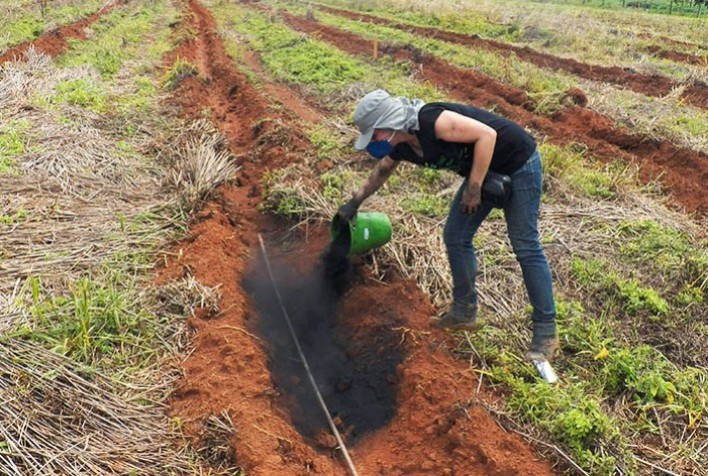 Pesquisas com biocarvão apontam caminhos para a menor dependência na importação de fertilizantes e aumento da sustentabilidade da produção