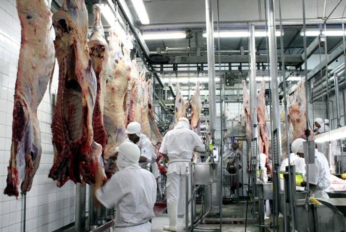 Frigoríficos de Mato Grosso diminuem 7% abate de bois e 15% de vacas