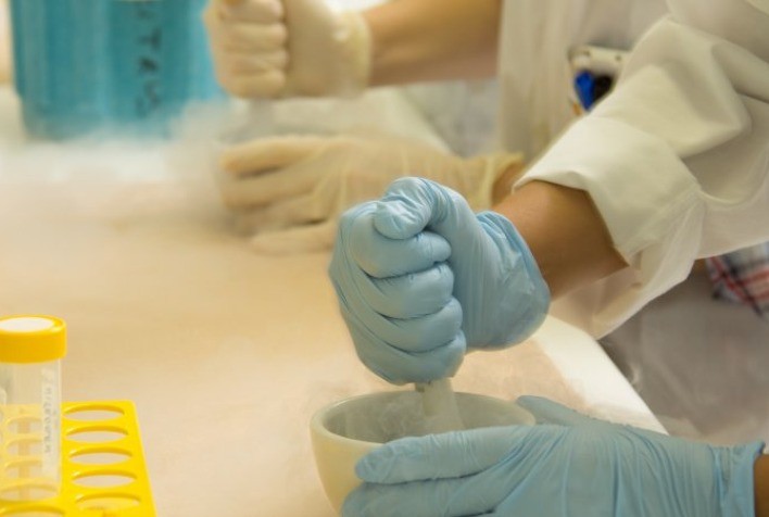 Parcerias internacionais fortalecem pesquisas sobre o greening