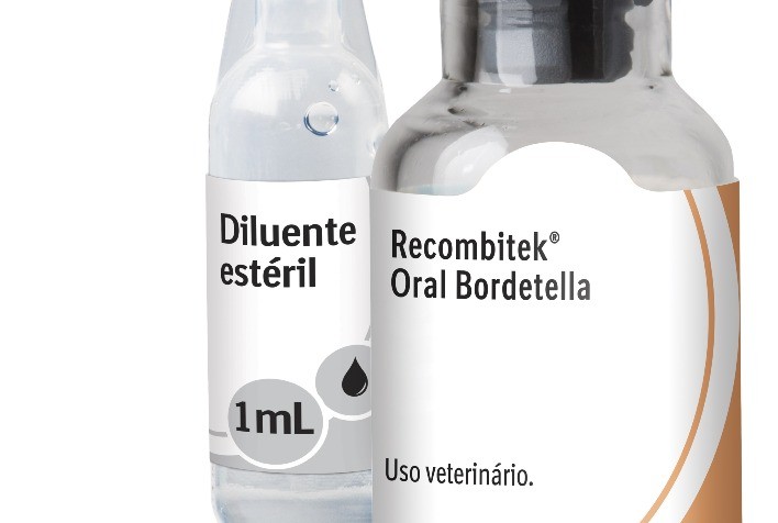 Boehringer Ingelheim lança a vacina Recombitek® Oral Bordetella, que combate a Doença Respiratória Infecciosa Canina (CIRD)