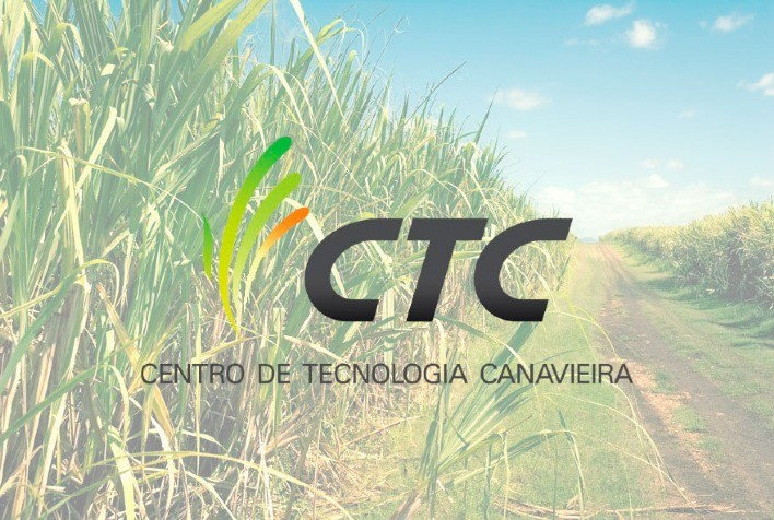 CTC registra lucro de R$ 134 milhões na Safra 21/22, crescimento de 23,6%