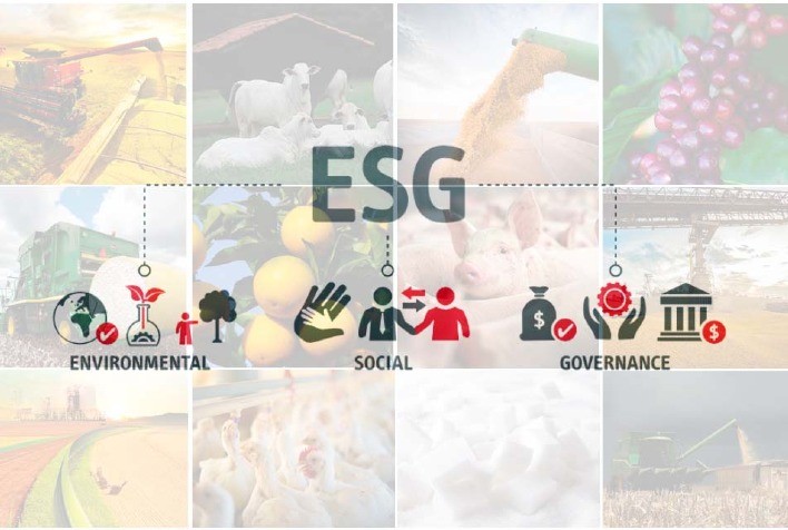 Agronegócio busca colocar ESG em prática