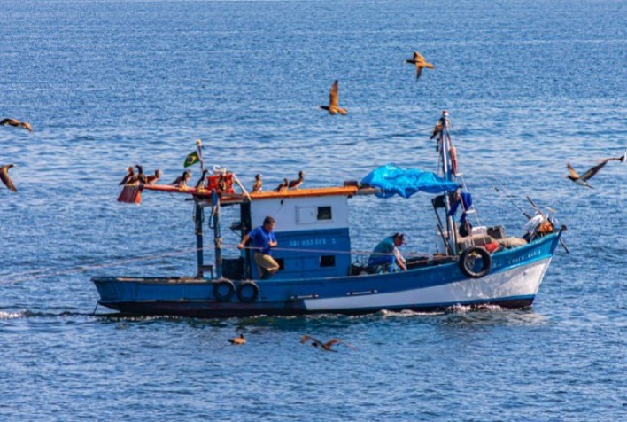 Mais de 5 mil pescadores profissionais têm licença suspensa ou cancelada por indícios de fraudes