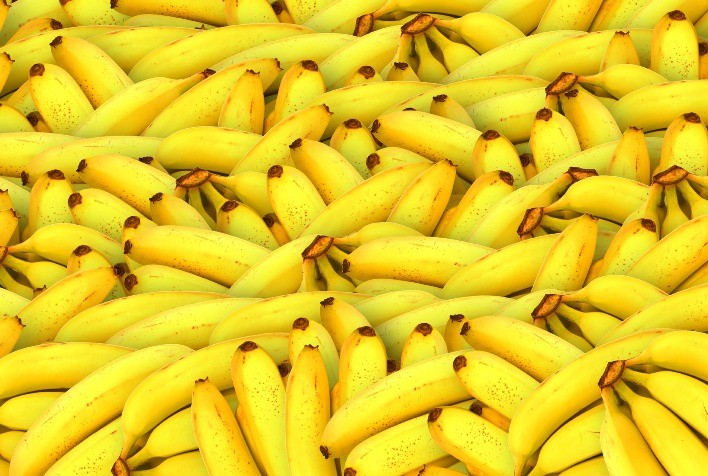 Manejo de fungos e plantas daninhas são destaques da UPL na 10ª Feibanana