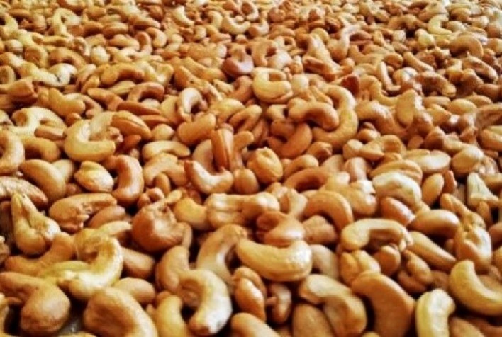 Embrapa sugere limite máximo de contaminantes de cobre para o mercado das castanhas