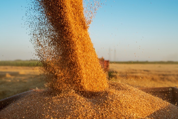 Conexão dos elos da cadeia produtiva aumenta competividade do Agronegócio